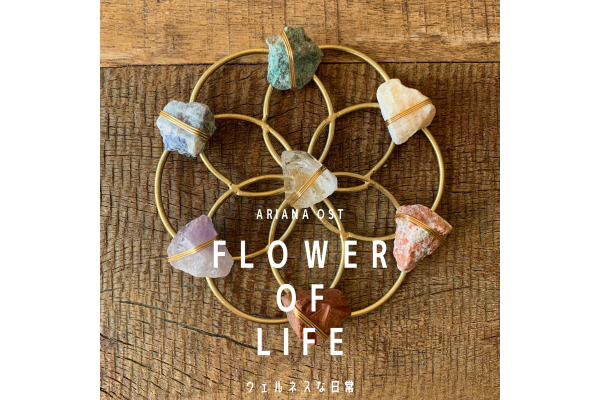 Ariana Ost | Lemusense